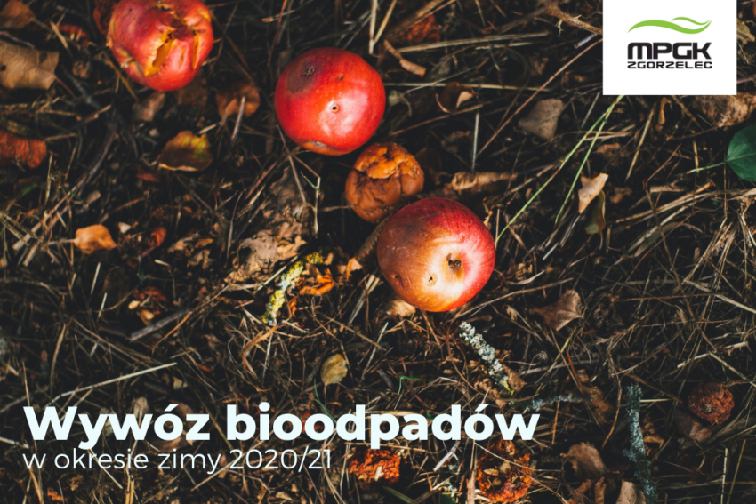 Zgorzelec: Terminy wywozu bioodpadów w okresie zimy 2020/2021