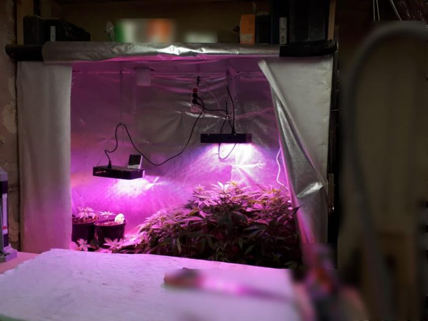 Domowej roboty growbox, w którym zatrzymany uprawiał krzewy konopi  /fot. KPP Zgorzelec