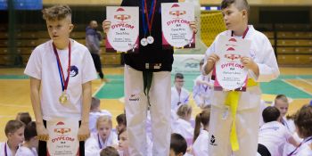 Gwiazdkowy turniej taekwondo - zdjęcie nr 28