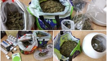Posiadał znaczną ilość narkotyków i pistolet gazowy – policjanci zabezpieczyli ponad kilogram marihuany (fot.: KPP Zgorzelec)