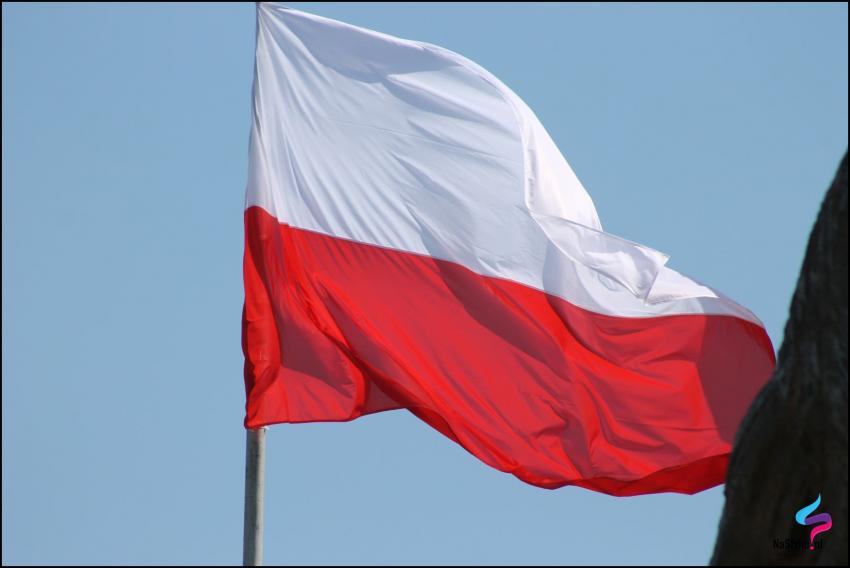 Flaga Polski / zdjęcie ilustracyjne
