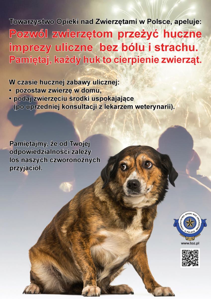 Apel o zabezpieczenie zwierząt w Noc Sylwestrową. | materiały prasowe TOW w Polsce