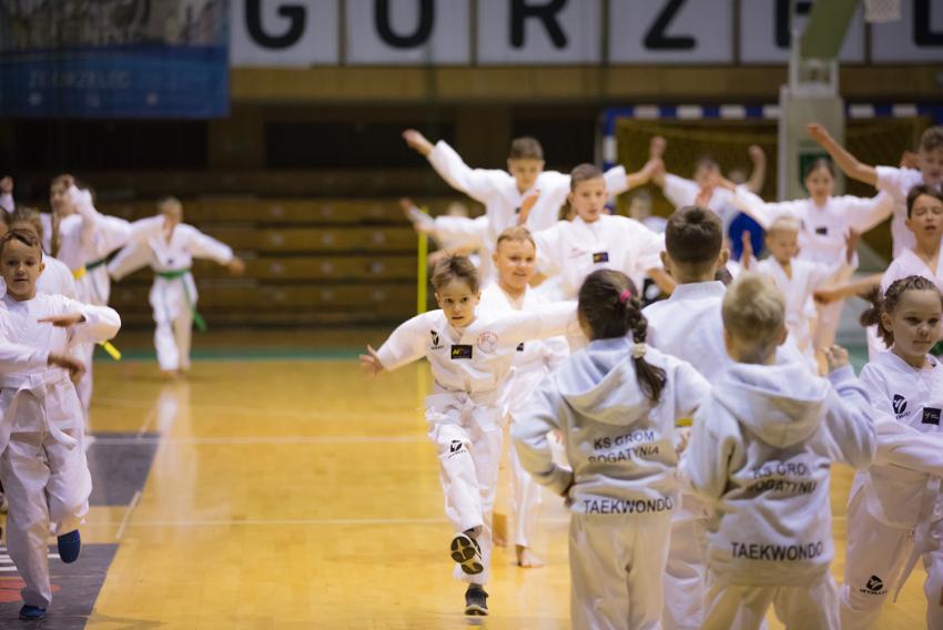 Gwiazdkowy turniej taekwondo - zdjęcie nr 25