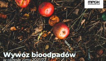 Wywóz bioodpadów w okresie zimy 2021/22 w Zgorzelcu