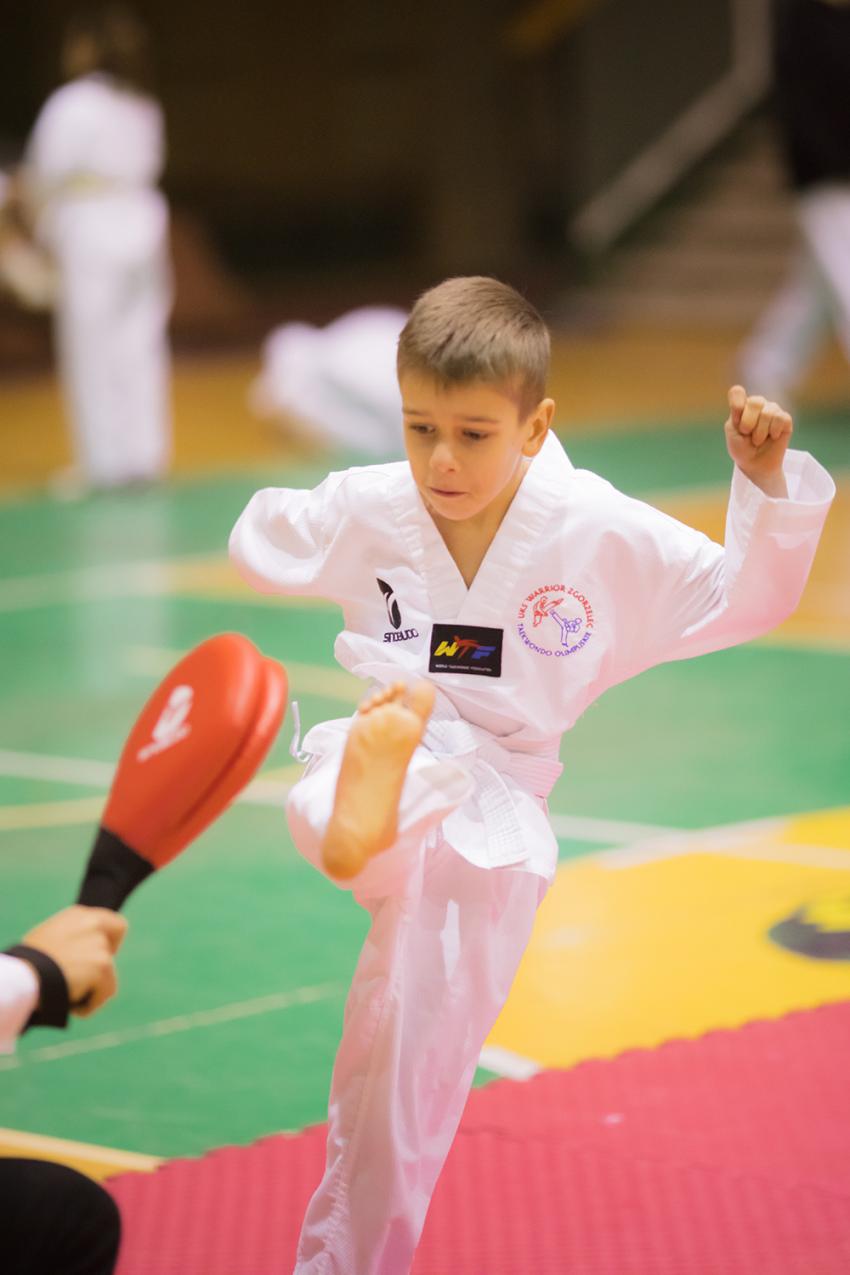 Gwiazdkowy turniej taekwondo - zdjęcie nr 5