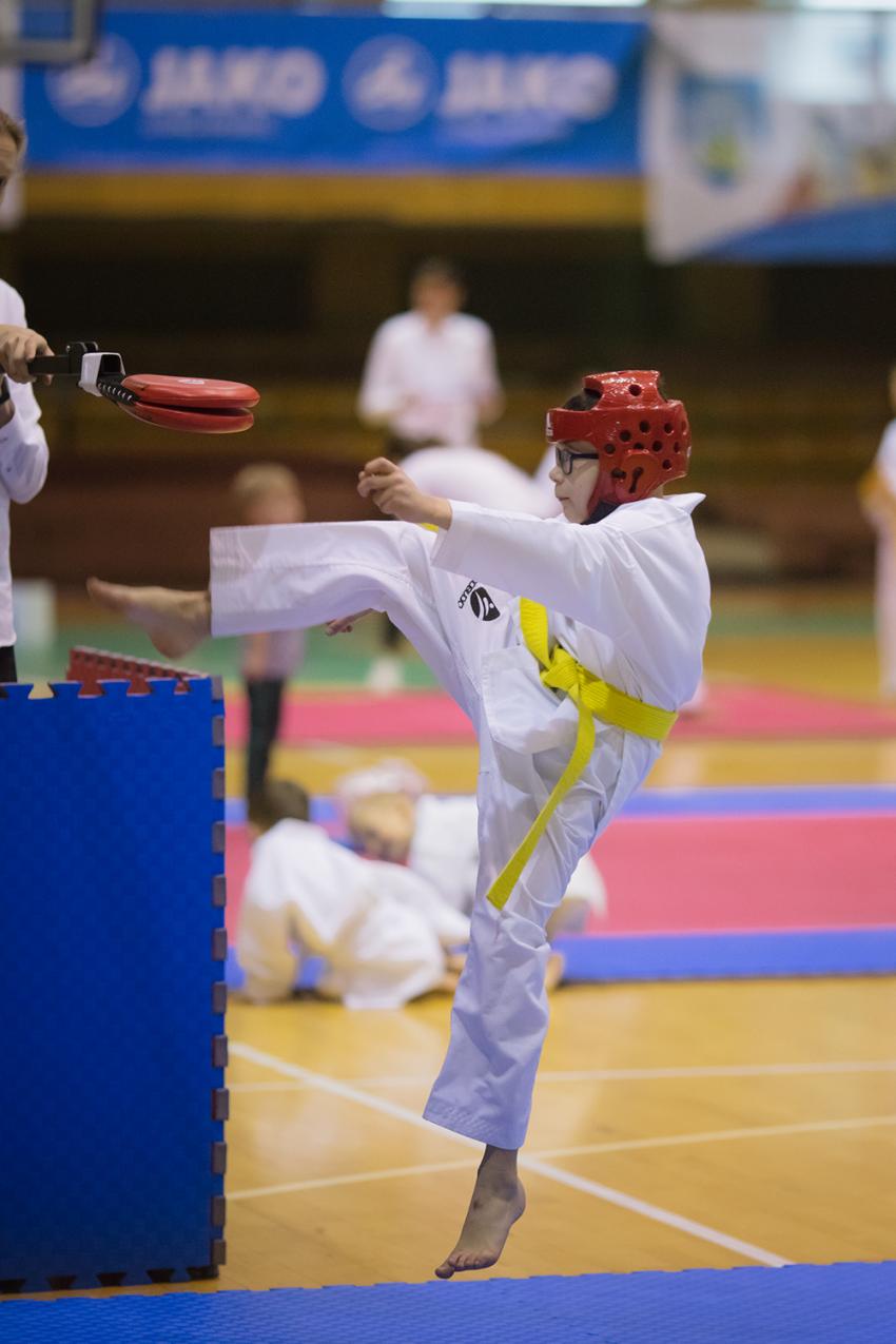 Gwiazdkowy turniej taekwondo - zdjęcie nr 8