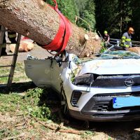 Czechy: Tragiczny wypadek w Karkonoszach. Drzewo zmiażdżyło przejeżdżające auto. Zginęły trzy osoby.