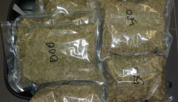 1,3 kg marihuany zabezpieczone przez strażników granicznych na Dolnym Śląsku / fot. NOSG