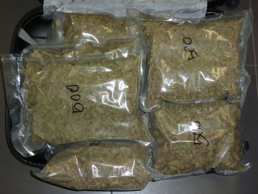1,3 kg marihuany zabezpieczone przez strażników granicznych na Dolnym Śląsku / fot. NOSG