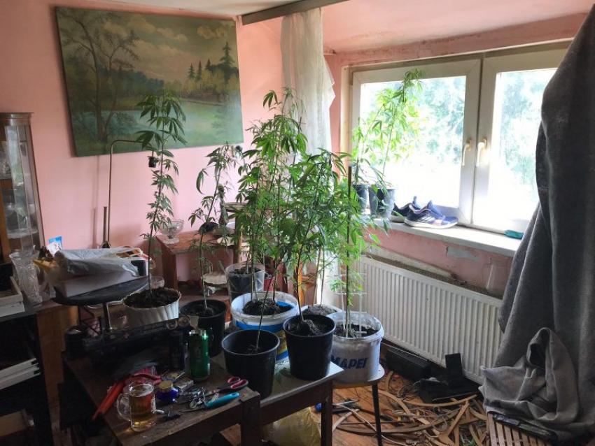 Pomieszczenie, w którym znajdowały się doniczki z roślinami konopi / fot. KPP Zgorzelec