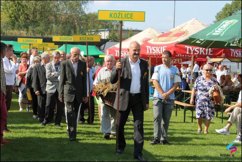 Święto Plonów w Gminie Zgorzelec - zdjęcie nr 84