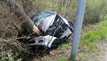 Kierowca Mercedesa stracił panowanie nad kierownicą i uderzył w drzewo / fot. KPP Zgorzelec