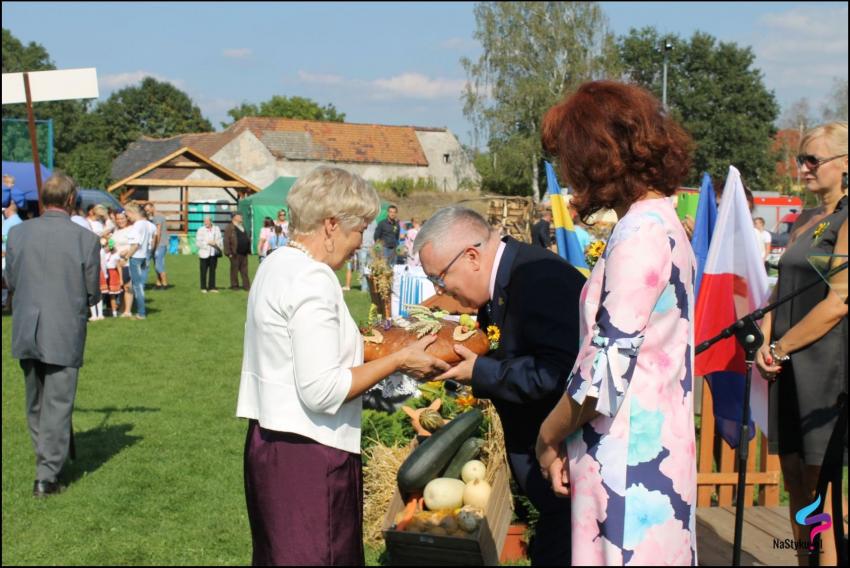 Święto Plonów w Gminie Zgorzelec - zdjęcie nr 74