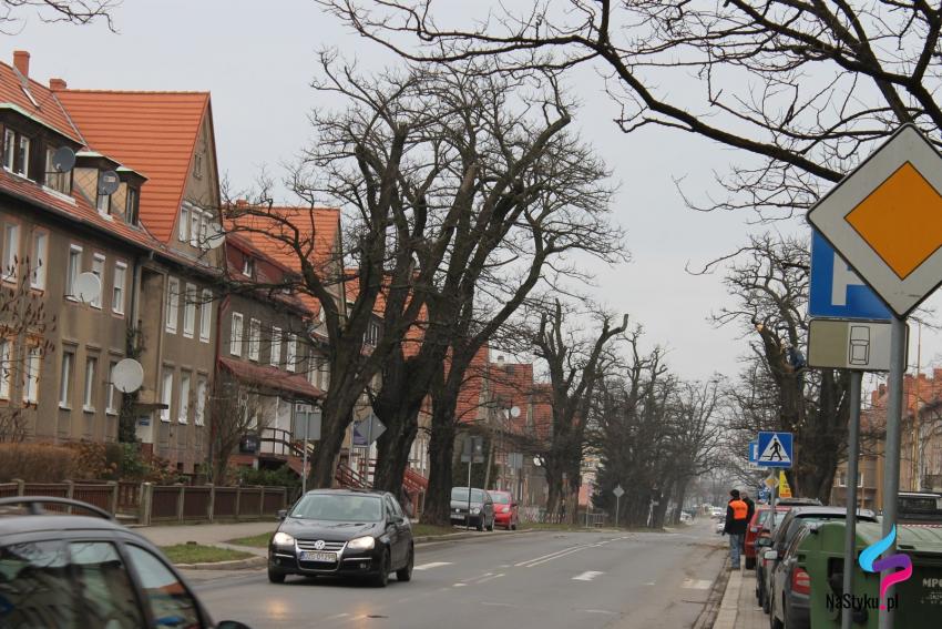 Przy ul. Kościuszki w Zgorzelcu, na odcinku między ul. Kilińskiego a ul. Prusa zostanie wyciętych 8 drzew.