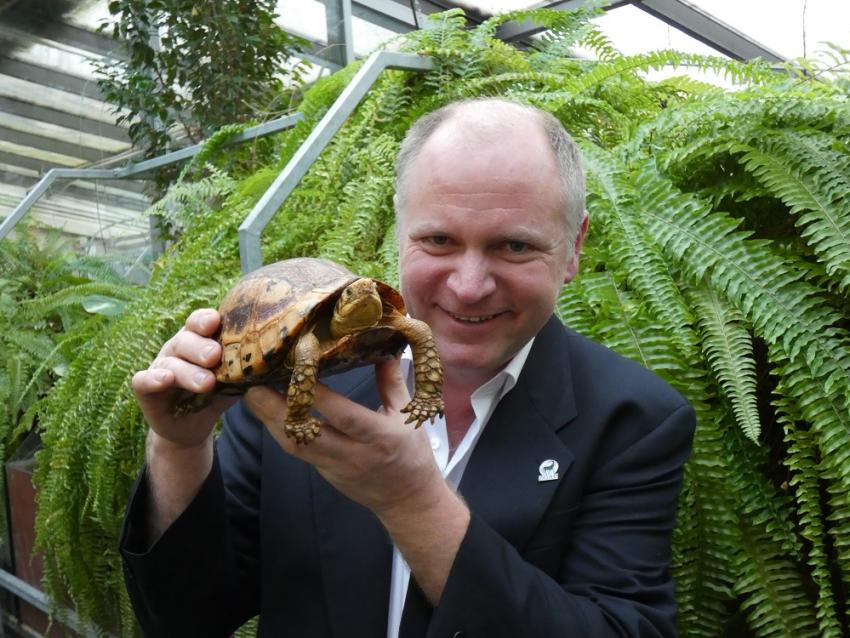 Dyrektor Naszego Zoo Dr Sven Hammer z żółwiem coura w Zoo Muenster | fot.: Naturschutz Tierpark Nasze Zoo Goerlitz Zgorzelec