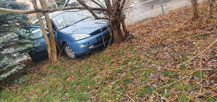 Kierowca Forda uderzył w drzewo przy skrzyżowaniu ulic Orzeszkowej i Turowskiej w Zgorzelcu / fot. KPP Zgorzelec