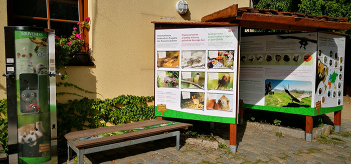 Ściana ochrony gatunków w zoo w Görlitz